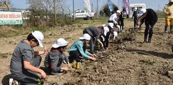 Samsun'da Dünya Ormancılık Haftası kutlamaları