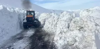 Uludere ilçesinde Tanin Geçidi'nde kar temizleme çalışması