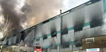 Tekirdağ'da sünger fabrikasında çıkan yangın kontrol altına alındı