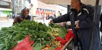 Lezzet ve Şifa Deposu Çiriş Otu Erzincan'da