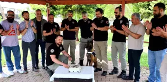 Narkotik Dedektör Köpeği Hulk'un 7. Yaş Günü Kutlandı