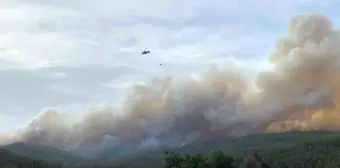 Çanakkale Valiliği, Orman Yangınları İçin Uyarıda Bulundu