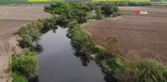 Gönen Çayı'nda kirlilik: Toplu balık ölümleri yaşandı