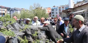 Havza Belediyesi Vatandaşlara Ücretsiz Fidan Dağıttı