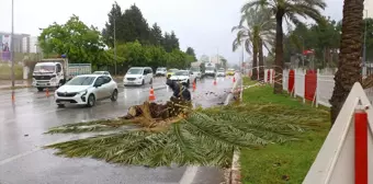 Antalya'da Fırtına Sonrası Büyükşehir Belediyesi Müdahale Etti