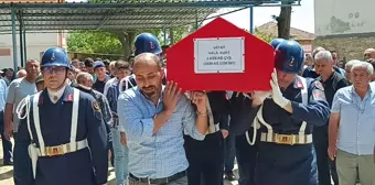 Cizre'de meydana gelen trafik kazasında hayatını kaybeden Jandarma Astsubay Kıdemli Çavuş Halil Kurt toprağa verildi