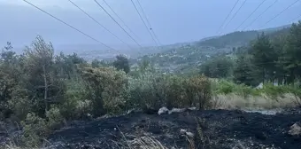 Hatay'ın Dörtyol ilçesinde ormanlık alanda çıkan yangın söndürüldü