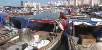 Teknelerle tutulan balıklar mezatlarda alıcıyla buluşuyor