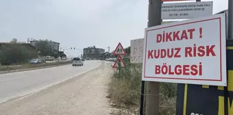 Hatay'da Kuduz Aşısı Yapılan Mahallelerde Çalışmalar Devam Ediyor