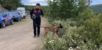 Kayıp ekonomist Korhan Berzeg'in kafatasına ait olduğu değerlendirilen parça bulundu