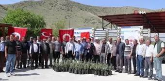 Oltu'da çiftçilere bin 300 zeytin fidanı dağıtıldı