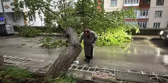 Yozgat'ta Şiddetli Rüzgarın Yola Devirdiği Kayısı Ağacı Hasara Neden Oldu