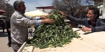 Van'da çiriş otu tezgahlardaki yerini aldı