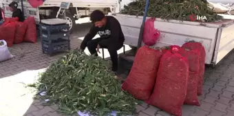 Erciş'te çiriş otu tezgahlardaki yerini aldı