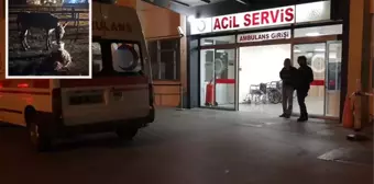 Kayseri'de başıboş bir eşeğin ısırdığı kadın yaralandı