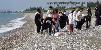 Mersin'de Caretta Carettaları Koruma Etkinliği