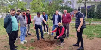 Soma'da hayatını kaybeden madencilerin anısına fidan dikildi