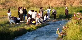 Burhaniye'de Hıdırellez Kutlamaları Devam Ediyor