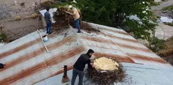 Tunceli'de Hasarlı Yapıların Yıkımı Başladı, Leylek Yuvaları Taşındı