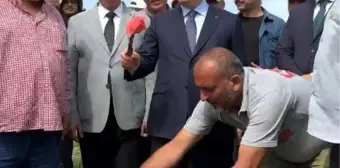 Adana Valisi Karpuz Hasadında İşçilerle Birlikte Çalıştı