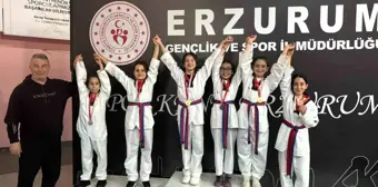 İspirli Sporcular Bölge Taekwondo Müsabakalarında Başarı Elde Etti