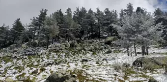 Bolu'nun yüksek kesimlerinde kar yağışı etkisini gösterdi