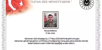 Pençe-Kaplan operasyonunda silah kazası sonucu bir asker şehit oldu