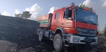 Afyonkarahisar'da otluk alanda çıkan yangın söndürüldü