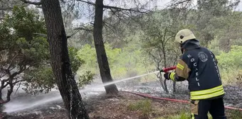 Gebze'de Ormanlık Alanda Çıkan Yangın Söndürüldü