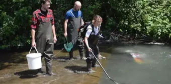 Sapanca Havzası'nda Ekolojik Süreklilik Projesi Uygulamaya Alındı