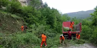 Ovacık'taki Lidya kaya mezarları turizme kazandırılıyor