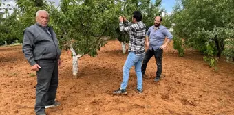 Konya'nın Bozkır ilçesinde dolu zararı yaşandı