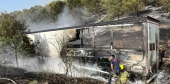 Balıkesir'deki arazi ve orman yangınları söndürüldü