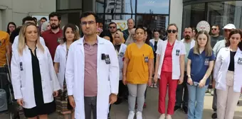 Kastamonu'da Trafik Kazasında Hayatını Kaybeden Doktorlar Anıldı