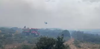 Didim'de Makilik Alanda Çıkan Yangına Havadan ve Karadan Müdahale