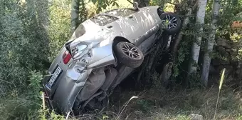 Köpeğin Yola Çıkması Sonucu Meydana Gelen Kazada Sürücü Yaralandı