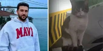 Kedi Eros'un katili İbrahim Keloğlan'a verilen hapis cezasına onama