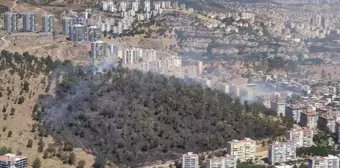 İzmir'deki yangınlar kontrol altına alındı