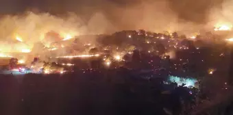 İzmir Dikili'de Zeytinlik Alana Sıçrayan Yangın Söndürülmeye Çalışılıyor