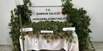 Samsun'da Uyuşturucu Operasyonu: 1 Şüpheli Gözaltına Alındı