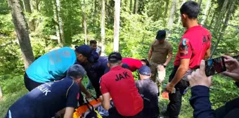 Kastamonu'da Kayıp Kadın Ormanda Bulundu