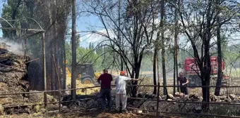 Bucak'ta çıkan yangında bin adet saman balyası kül oldu