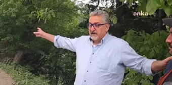 Artvin Şavşat'ta Sahara Milli Parkı'nda Ağaç Kesimine Tepki: 'Böyle Bir Kesimle Böcek Zararının Önlendiği Dünyada Görülmüş Değil'