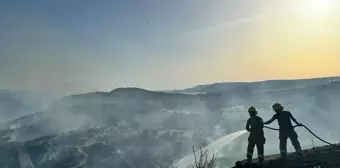 Çanakkale'de Assos Antik Kenti'nde Yangın Kontrol Altına Alındı