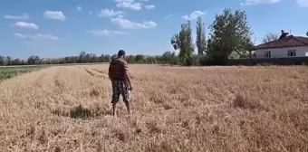 Yozgat'ta Sel ve Dolu Mağduru Çiftçiler: 'Kimse Halimizi Sormuyor, Vatandaş Olarak Garip Kaldık'