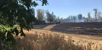 Eskişehir'de çıkan yangında buğday tarlası ve meyve ağaçları zarar gördü