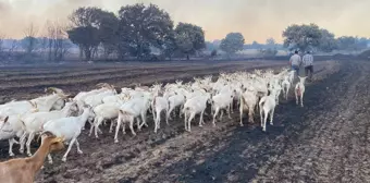 Hayvanlarının Canını Kurtardı; Bazı Evler Tahliye Edildi