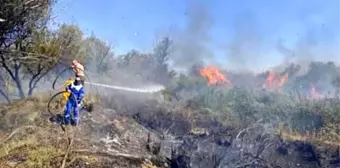 Osmaniye'de Kastabala Kuş Cenneti'nde Yangın Kontrol Altına Alındı