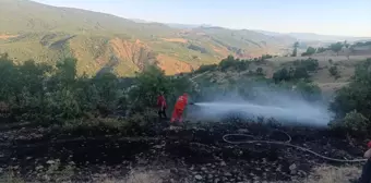 Bingöl'de ormanlık alanda çıkan yangın söndürüldü