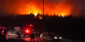 İzmir'in 5 ilçesinde orman yangını! Bakan Yumaklı bölgede